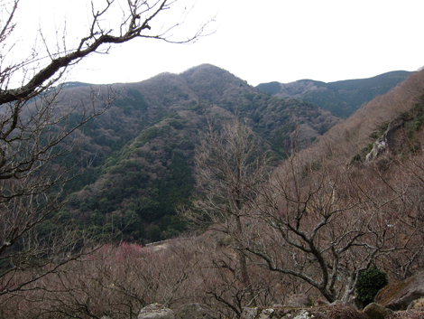 20200122hike (43)